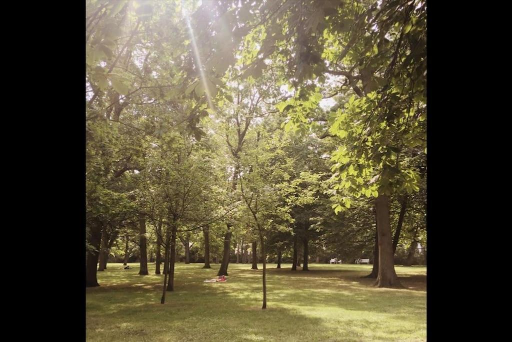 Surfkajuete - In Warnemuende